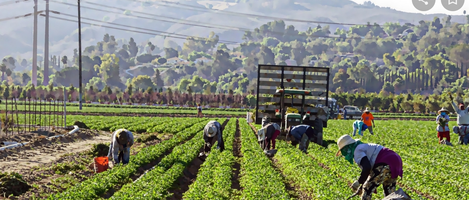 Aziende agricole